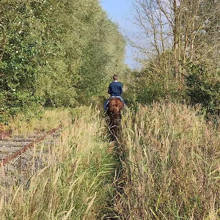 Kind -& Diervriendelijk Hébergement de vacances