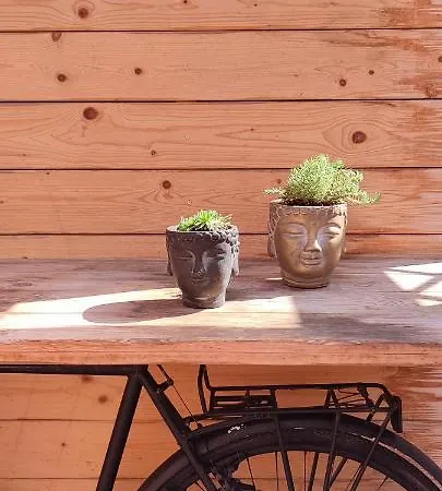 Kind -& Diervriendelijk * Де Панбархат